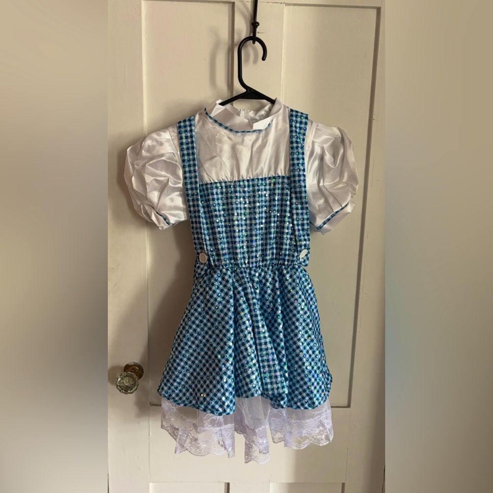 Wizard of Oz Dorothy costume junior